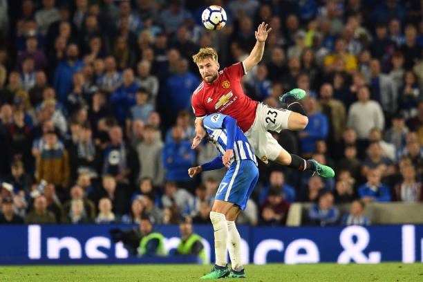 名人与伊比 名人与伊比